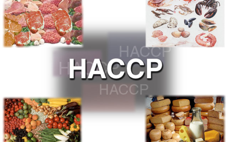 Haccp